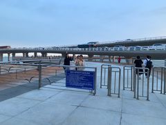 -演武大桥观景平台