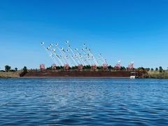 -南大港湿地风景区