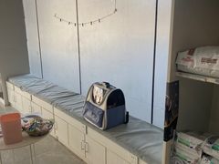 -中农国际动物医院24小时·猫科·骨科·急重症中心