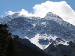 -黄龙山原始森林景区
