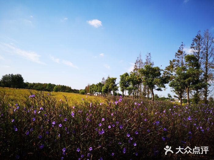 嘉北郊野公園圖片