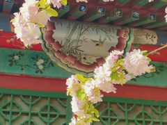-海棠花溪(元大都城垣遗址公园)