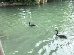 -通安客栈中餐厅·何家小馆