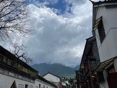 -尽善百年古院餐厅(王家老宅店)