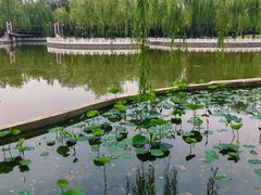 -丰台花园