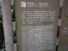 门面-桃花涧