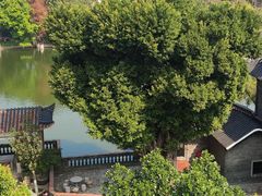 -东莞市可园博物馆