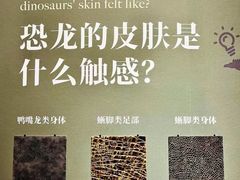 -遇见博物馆(遇见海洋沉浸式奇幻光影展)