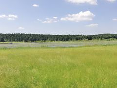 -塞罕坝国家级自然保护区