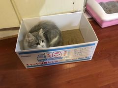 -宠颐生中康贝怡动物医院