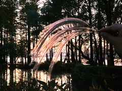 -东湖落雁景区