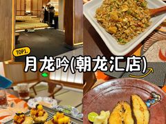 -月龍吟(朝龙汇店)