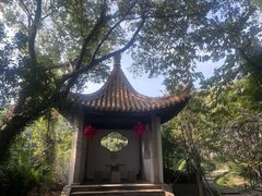 -雨花胜境