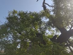 -代州文庙