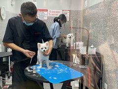 -宠物家(角门东店)