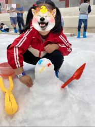 -Mr·Kuma酷么先生雪之乐园