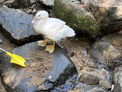 -火炉山森林公园