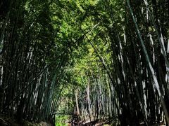 -同里国家湿地公园