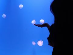 -福州罗源湾海洋世界旅游区