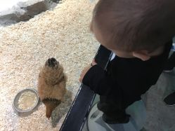 -酷嗒动物文化乐园(cutezoo西溪乐天城店)