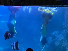 -左海海底世界