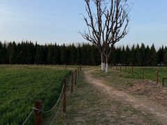 -汉长安城未央宫国家考古遗址公园