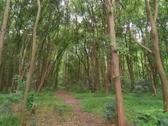 -同里国家湿地公园