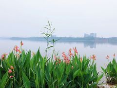 -星巴克(成都科学城店)