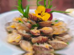 -外滩1288花园丽舍