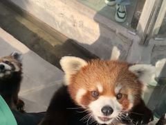 -新疆天山野生动物园