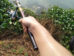 -溪口-滕头旅游景区