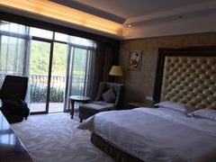 -圣爵菲斯大酒店(长沙世界之窗店)