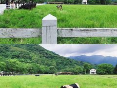 -瑞穗牧场