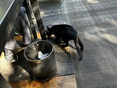 -品德宏·孔雀宴的发源地(金塔园店)