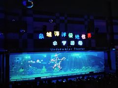 -泉城欧乐堡海洋极地世界