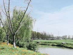 -乌镇东栅景区