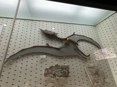 -浙江自然博物院(杭州馆)