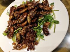 -杨氏青龙虾·羊蝎子(金盛路总店)