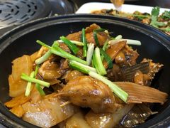 -港升鱼师傅·中山脆肉鲩