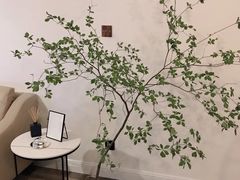 -植物学家的女儿(北马道巷店)