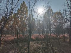 -东郊湿地公园