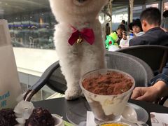 -满记甜品(大悦城店)