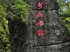 -汤旺河林海奇石景区