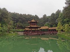 -铁山坪森林公园