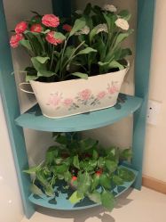 -薇兰专业脱毛连锁机构