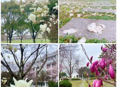 -苏州工学院(东湖校区)