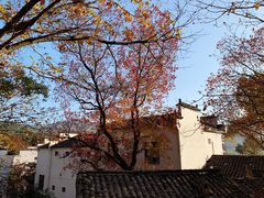 -塔川景区