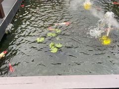 -濮园 · 四合院餐厅