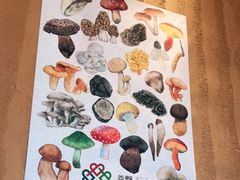 -滇野云南野生菌餐厅(陕西南路店)