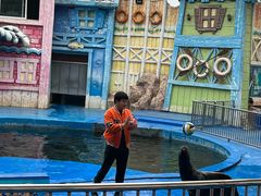 -华夏文旅海洋公园